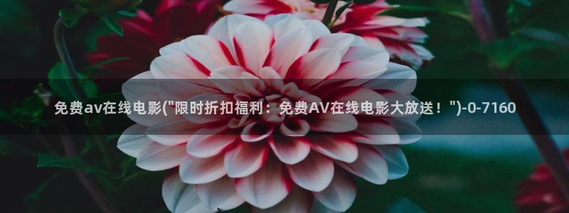 av综艺