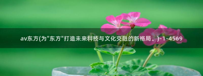 免费的av在线观看