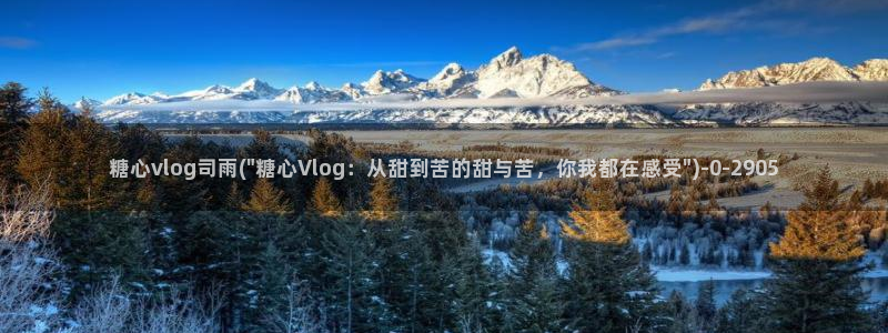 糖心vlog传媒网址：糖心vlog司雨(\