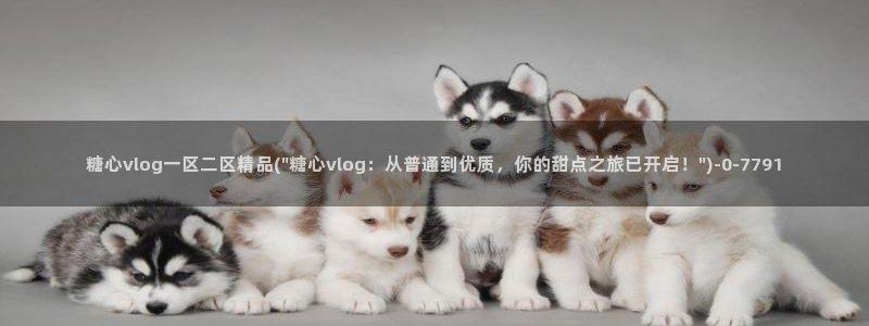 糖心vlog一区：糖心vlog一区二区精品(\