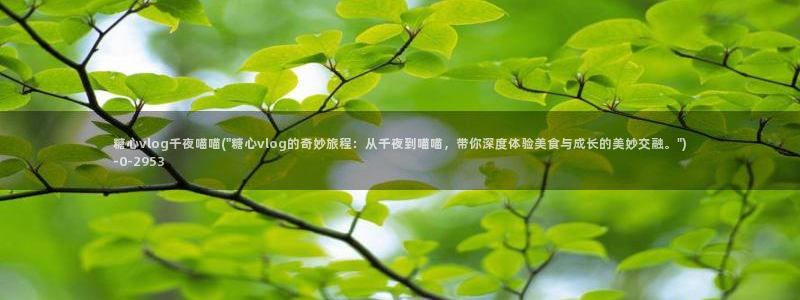 糖心vlog演员哪个好看：糖心vlog千夜喵喵(\