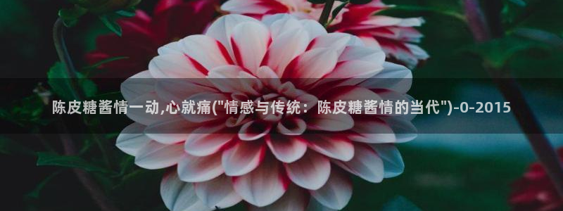 糖心vlog御梦子18：陈皮糖酱情一动,心就痛(\