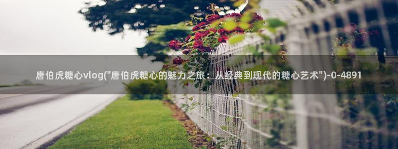 糖心vlog在线观看糖心