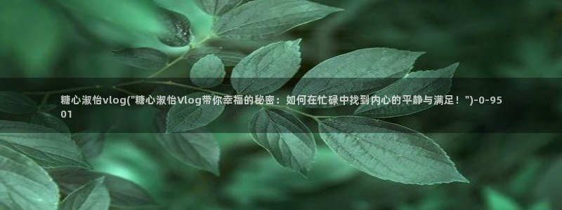 糖心vlog作品