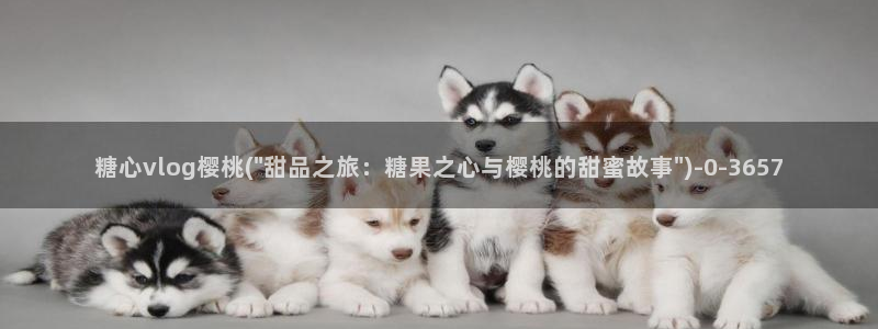 糖心vlog在线观看_糖心vlog：糖心vlog樱桃(\