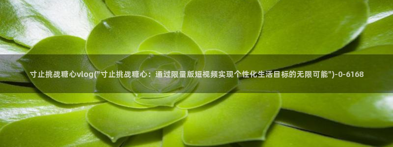 糖心vlog入口官网